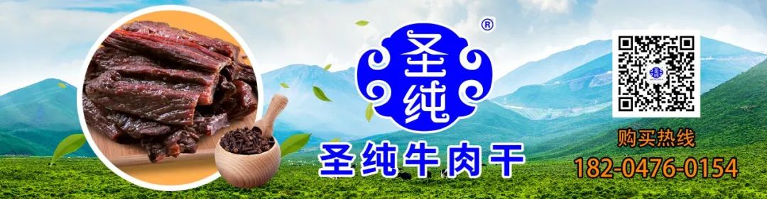 圣纯牛肉干